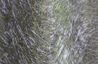 Birchen Coppice fibreglass roof work